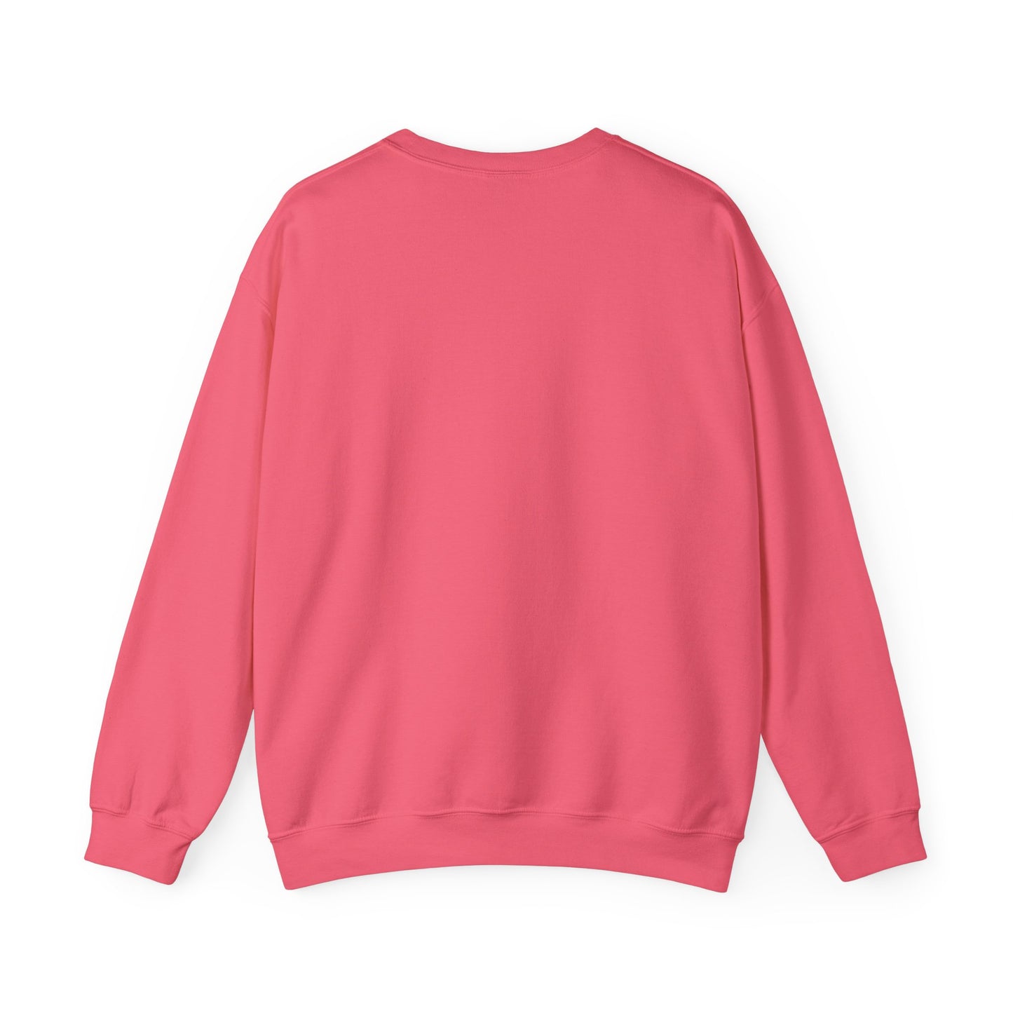 👕 Sudadera de la Manifestación – Edición Saint Neville //  Manifestation Sweatshirt